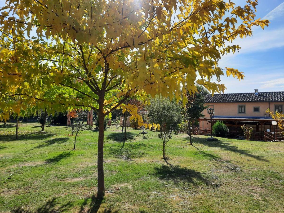 Sassomatto B&B Bioagriturelax Campogialli 외부 사진