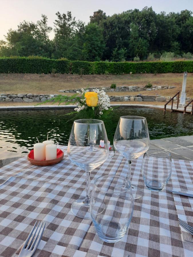 Sassomatto B&B Bioagriturelax Campogialli 외부 사진